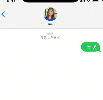 昭化apple维修iPhone上无法正常发送iMessage信息 昭化apple维修iPhone上无法正常发送iMessage信息