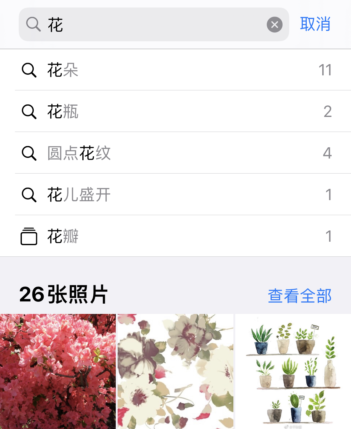iPhone 小技巧:有效管理和整理相册