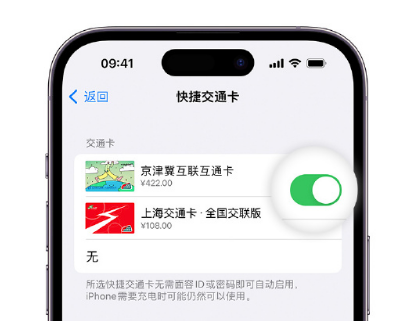 昭化apple维修点分享iPhone上更换Apple Pay快捷交通卡手绘卡面 