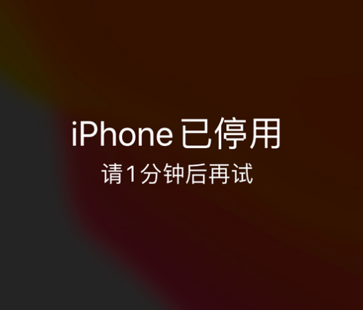 昭化苹果手机维修分享:iPhone 显示“不可用”或“已停用”怎么办？还能保留数据吗？ 