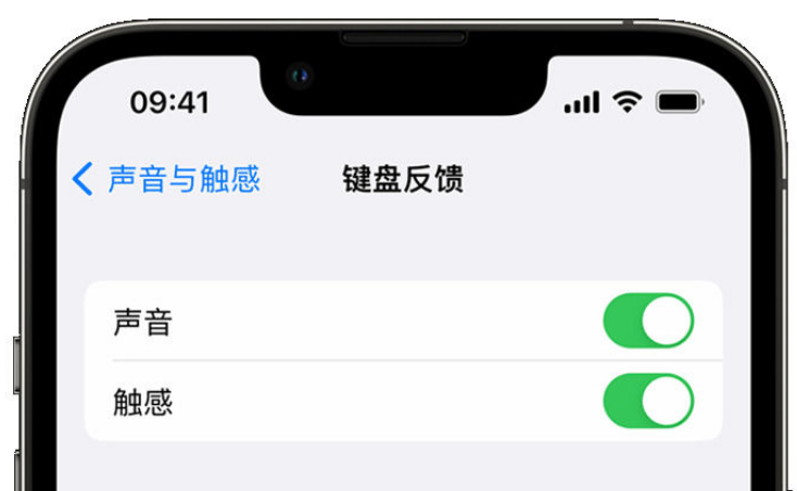 昭化苹果手机维修分享iPhone 14触感键盘使用方法 