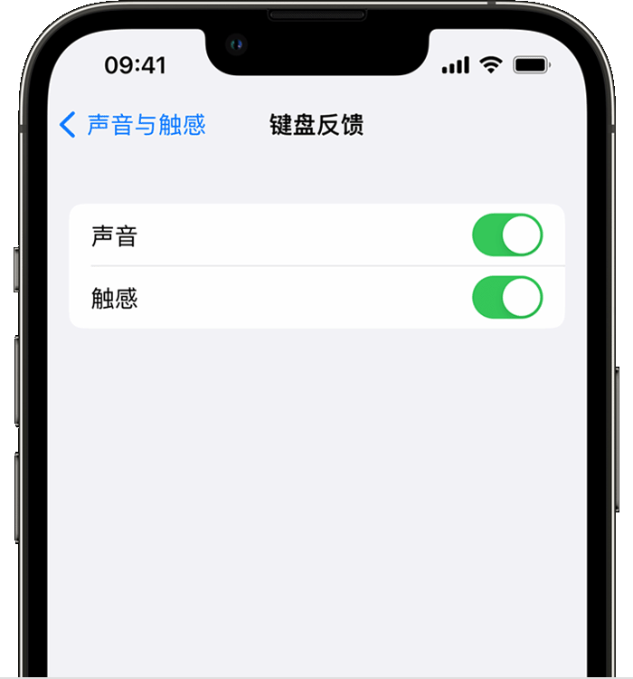 昭化苹果14维修店分享如何在 iPhone 14 机型中使用触感键盘 