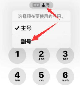 昭化苹果14维修店分享iPhone 14 Pro Max使用副卡打电话的方法 