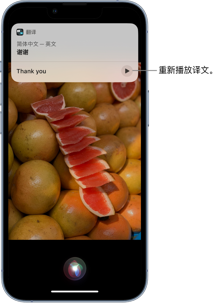 昭化苹果14维修分享 iPhone 14 机型中使用 Siri：了解 Siri 能帮你做什么 