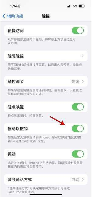 昭化苹果手机维修分享iPhone手机如何设置摇一摇删除文字 