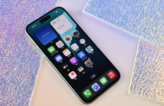 昭化苹果手机维修分享为什么大家不喜欢苹果iPhone 16 Plus 