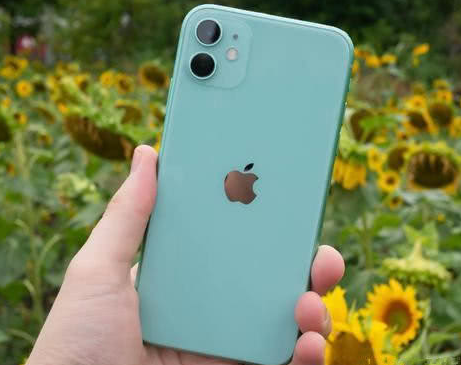 昭化苹果维修点分享iPhone 11锁屏密码认知与使用科普 